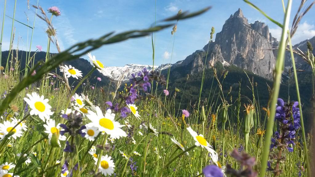 Eden Apartments Siusi Bagian luar foto